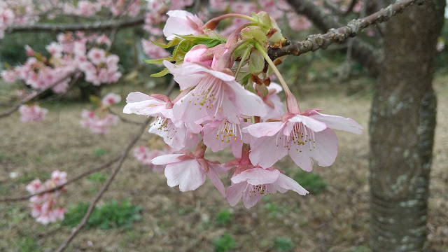 雨が降りそう…