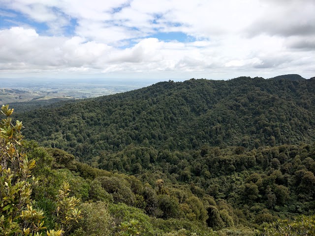 Sanctuary Mountain Maungatautari Rocky Outcrop Peak