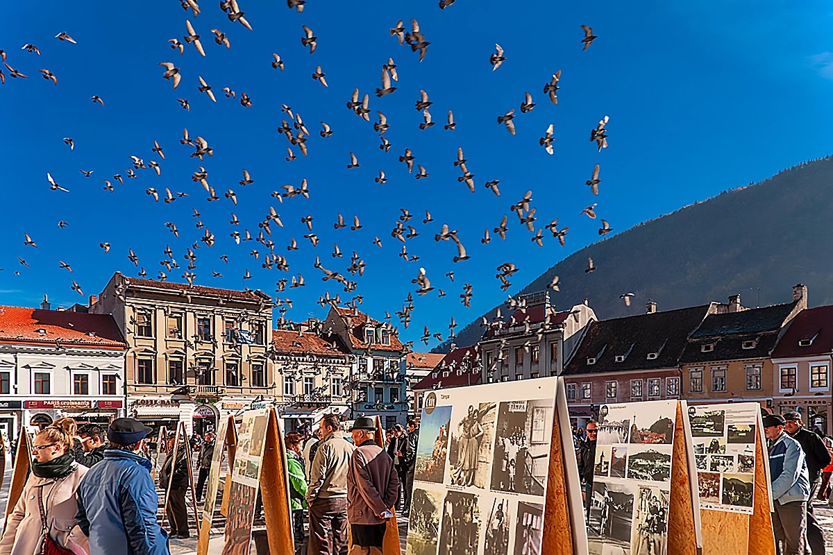 Brașov