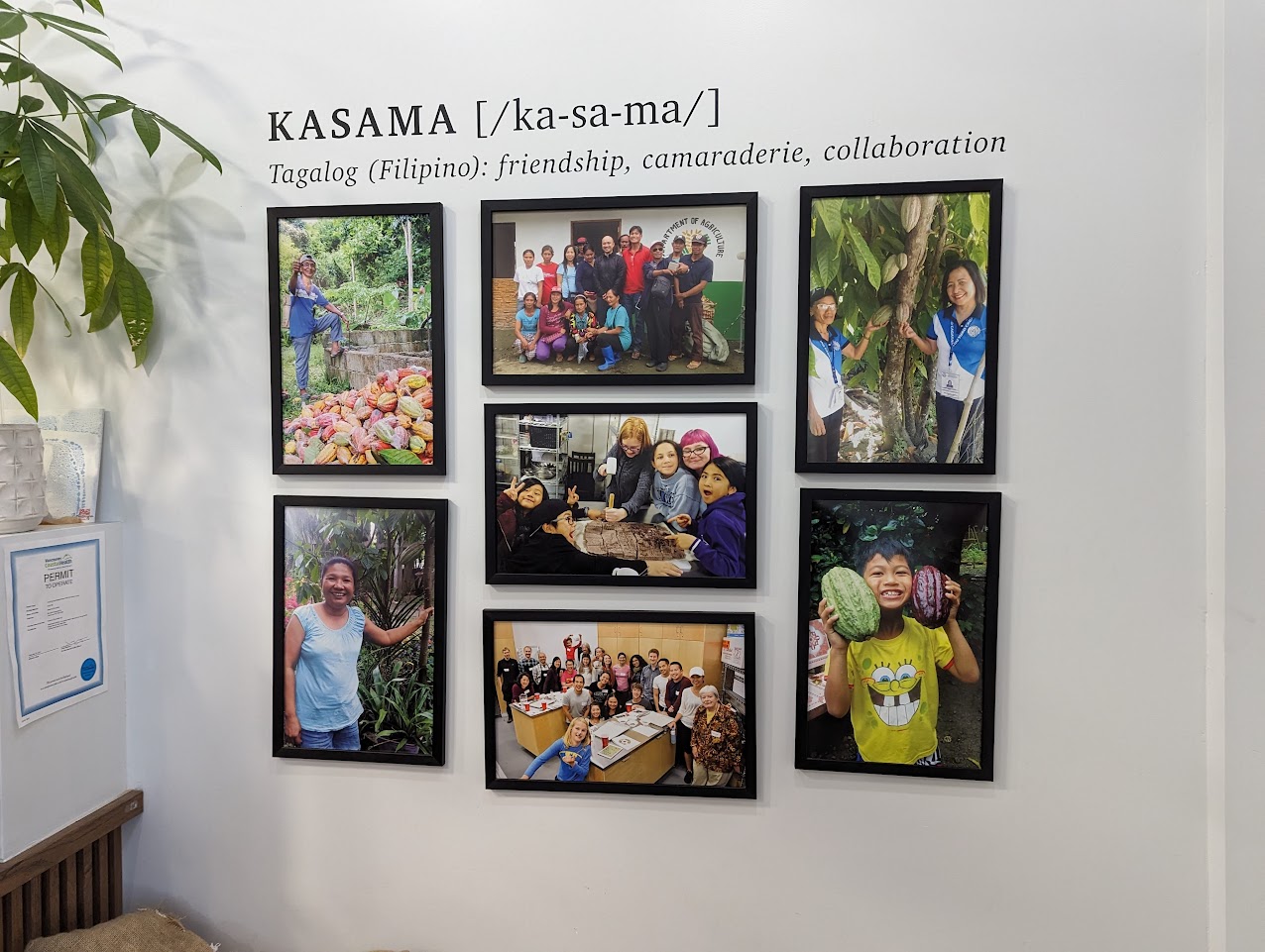 kasama shop