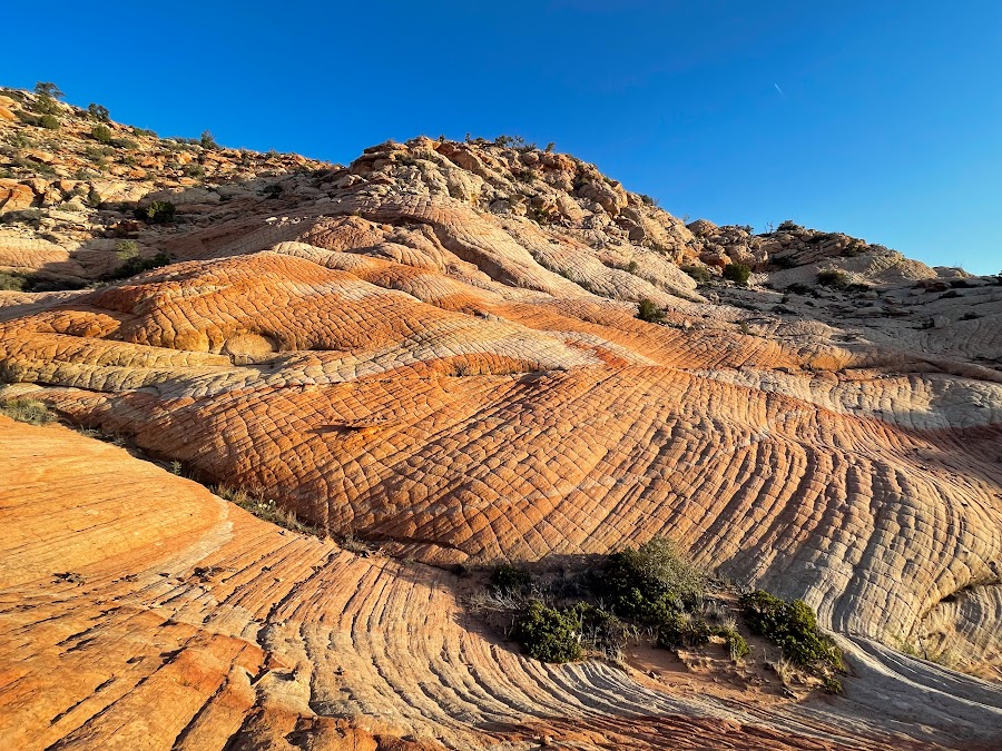 Utah, Arizona Апрель 2024