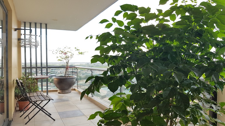 Big balcony 1 – bedroom apartment with open view in Au Co street, Tay Ho district for rent