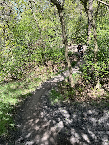 Google Photo