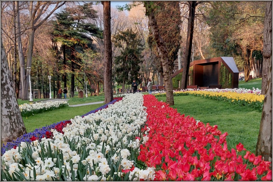 Фотовпечатления. Тюльпановый рай в Стамбуле... апрель 2023 г.
