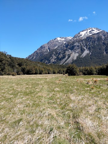 Anti Crow Hut to Carrington Hut