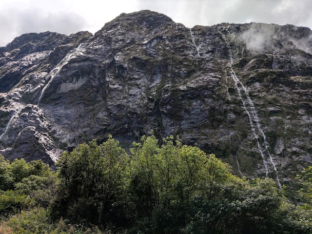 road to Milford Sound