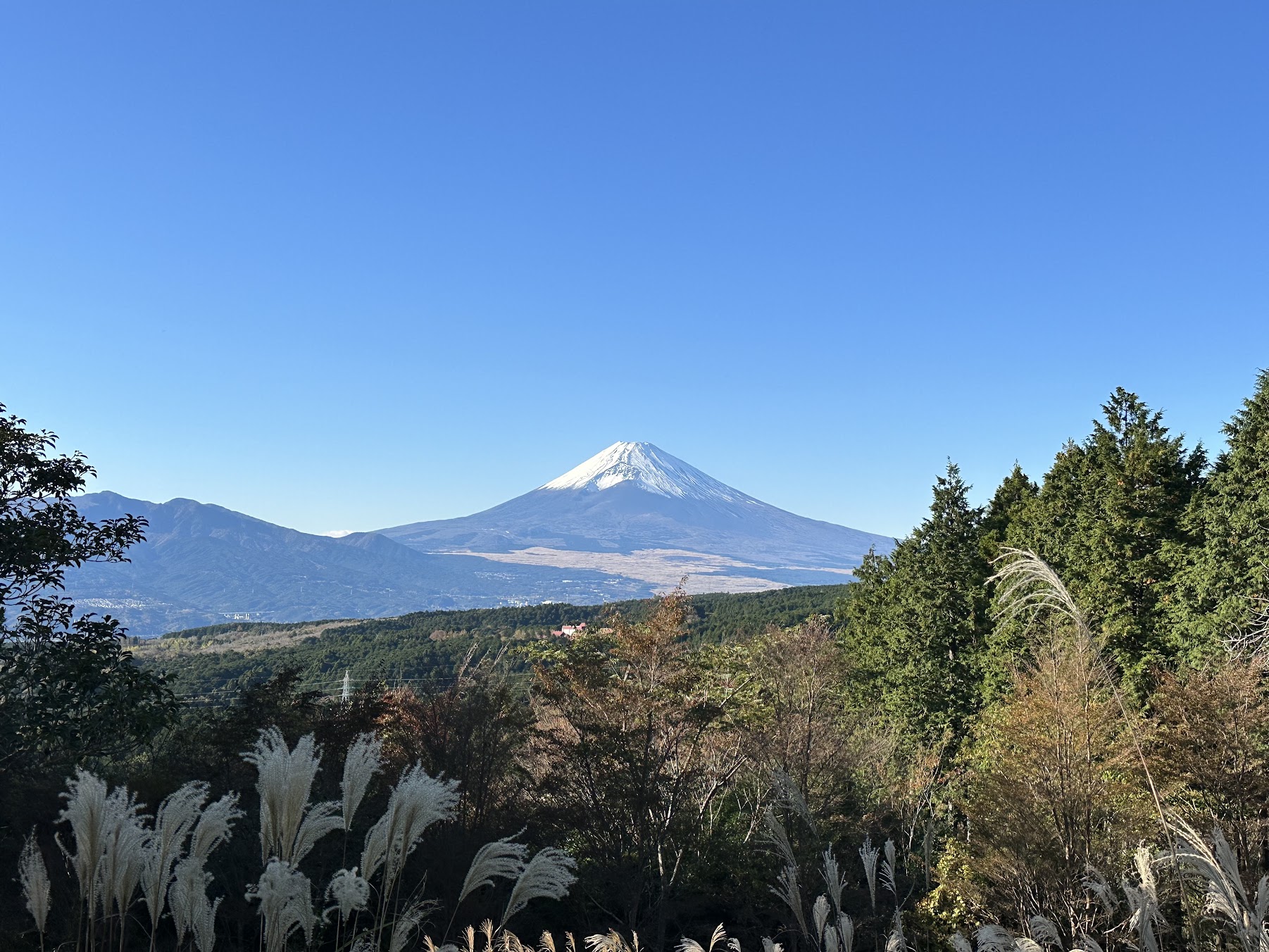 【四處遊盪】2023東京、箱根秋之旅 DAY 4-2~山中城