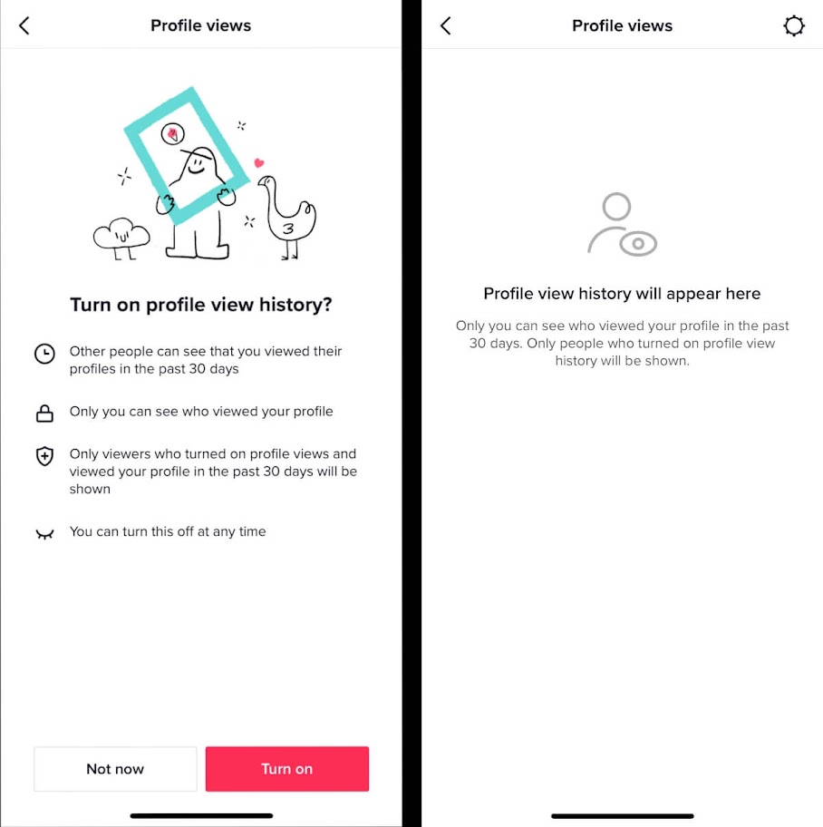 How to Turn on TikTok Profile View History?