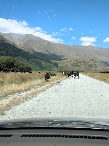 Unsealed gravel road to Rob Roy Glacier Track