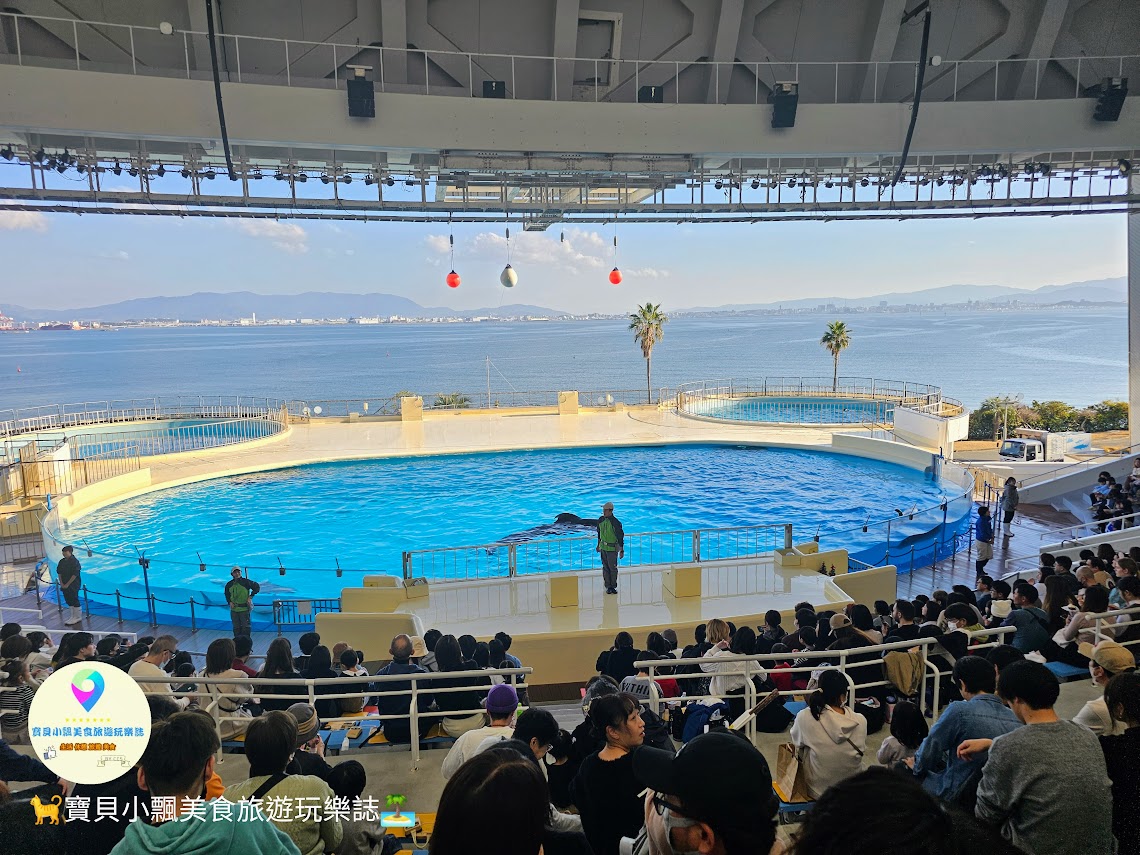 [旅遊]日本 福岡 觀賞獨特魅力的海洋生物 九州人氣景點 海