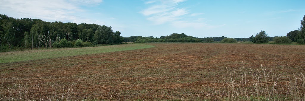 3. Wandeling rond en in Vlagtwedde op 31 augustus 2024