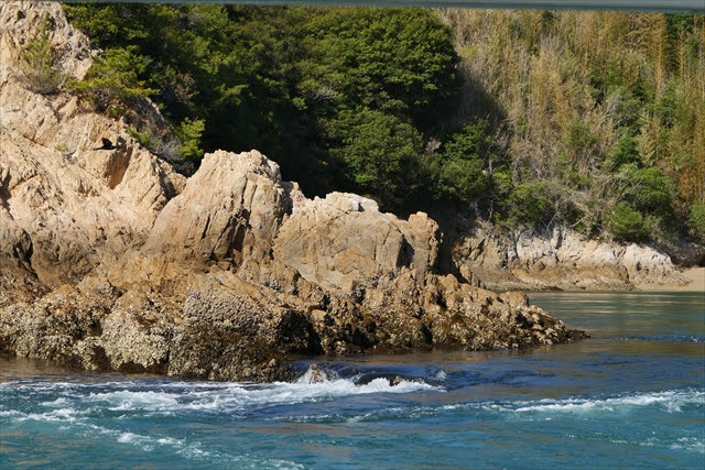 しまなみ来島海峡遊覧船