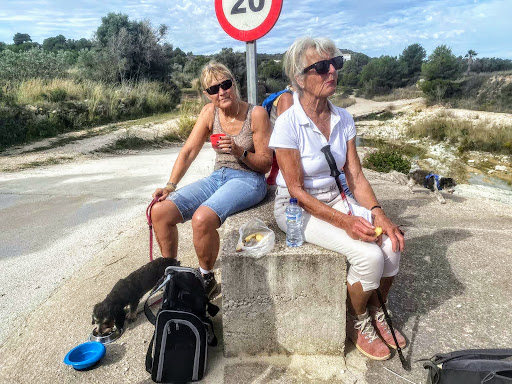Google Photo