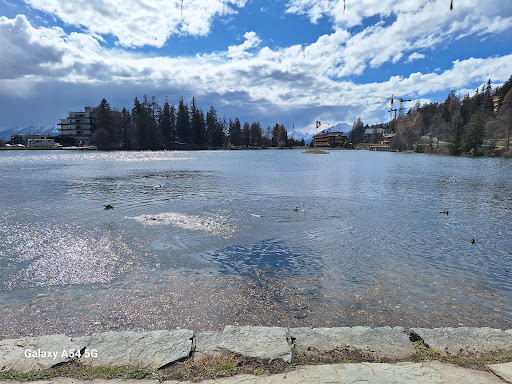 Google Photo
