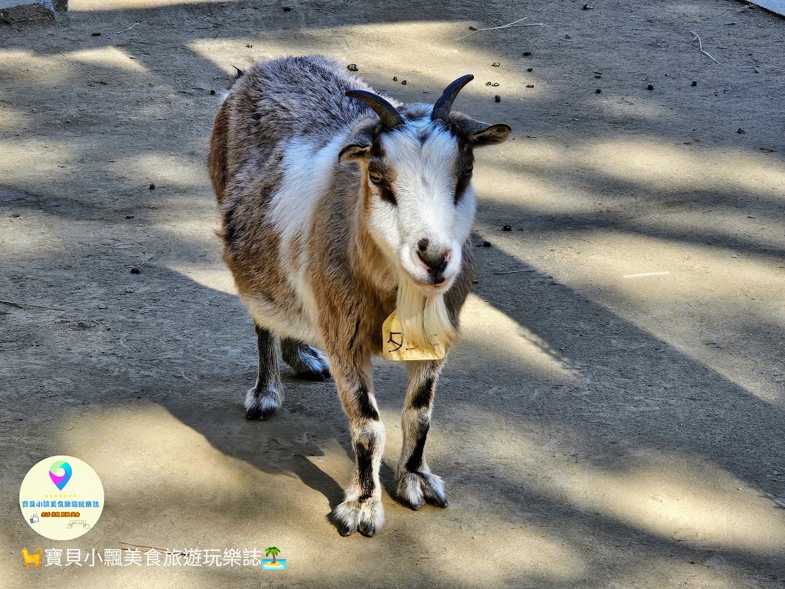 [旅遊]日本 福岡 親子樂悠遊 騎乘自行車 電動滑板車 暢遊