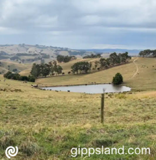 Join this free event to learn more about the benefits of enhancing your farm dam, for water quality and stock health, and also for wildlife