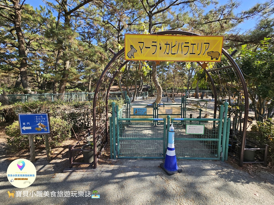 [旅遊]日本 福岡 親子樂悠遊 騎乘自行車 電動滑板車 暢遊