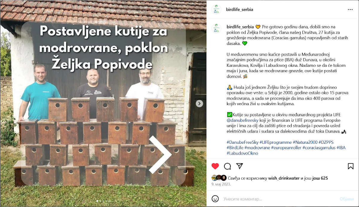 kutije-za-modrovrane