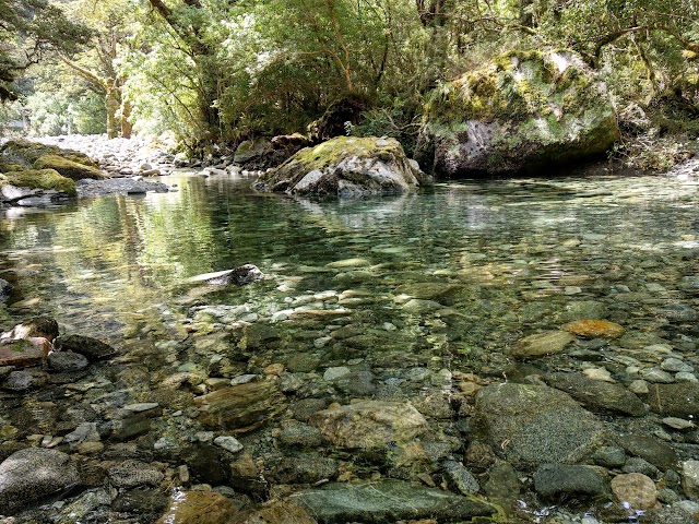 Milford Track Mintaro Hut water hole