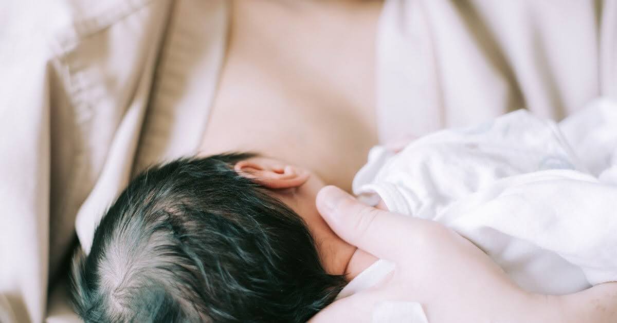 What’s the Average Colostrum Collector Success Rate? Tips to Improve
