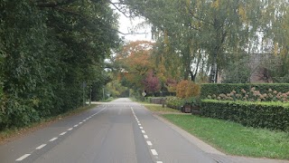 Herfstkleuren ontdekken aan de rand van de Veluwe