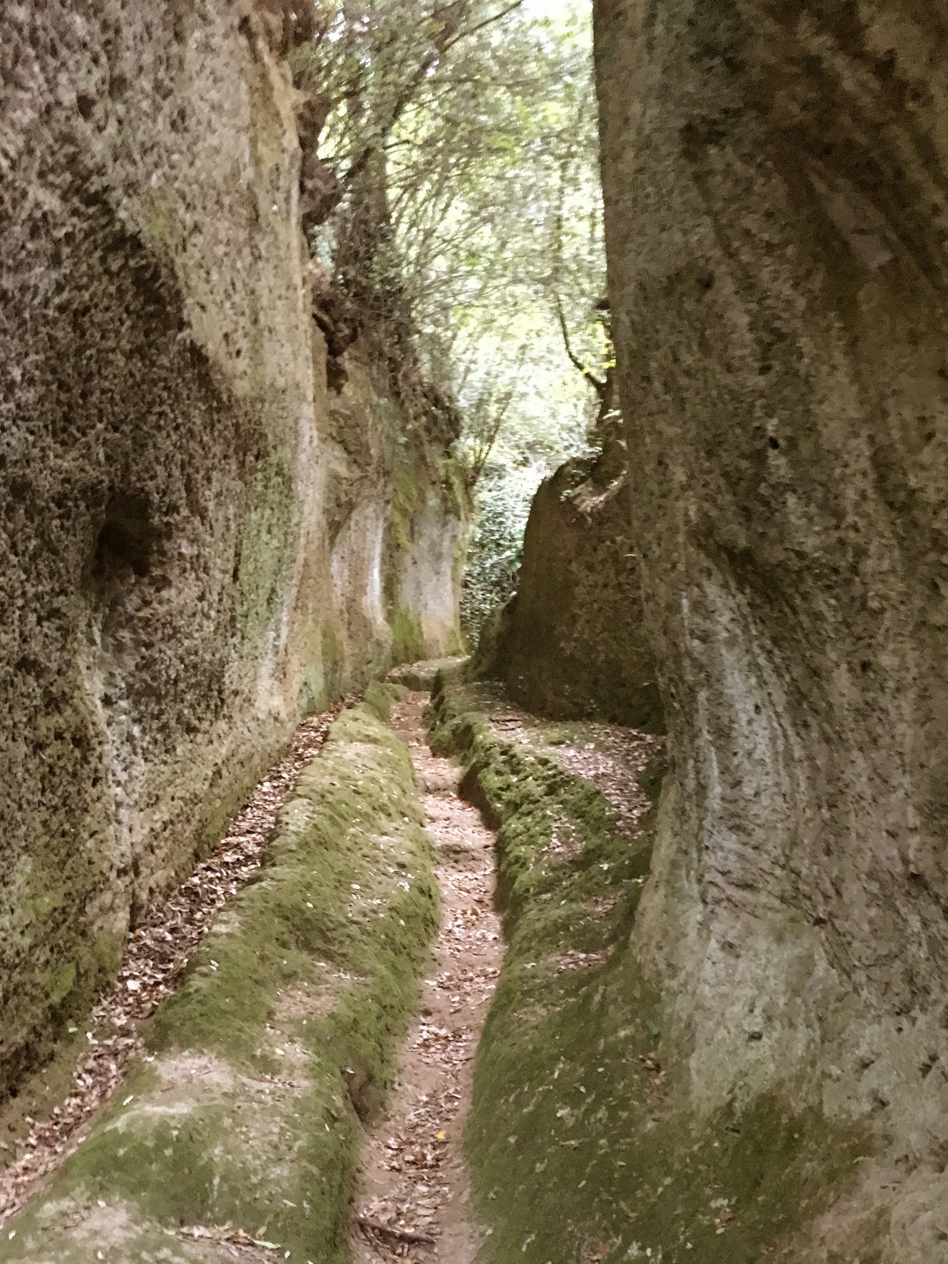 La Via Cava San Rocco, nel cuore etrusco della Maremma Toscana