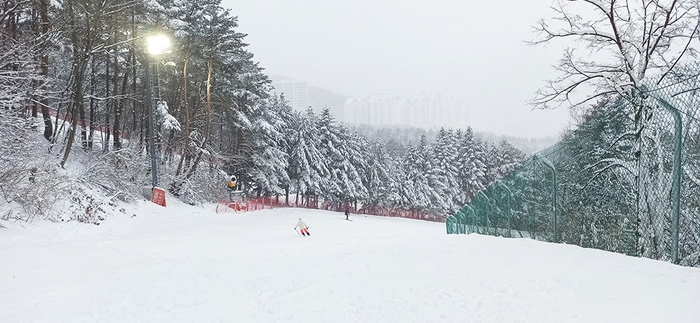 Южная Корея, горнолыжка Yongpyong