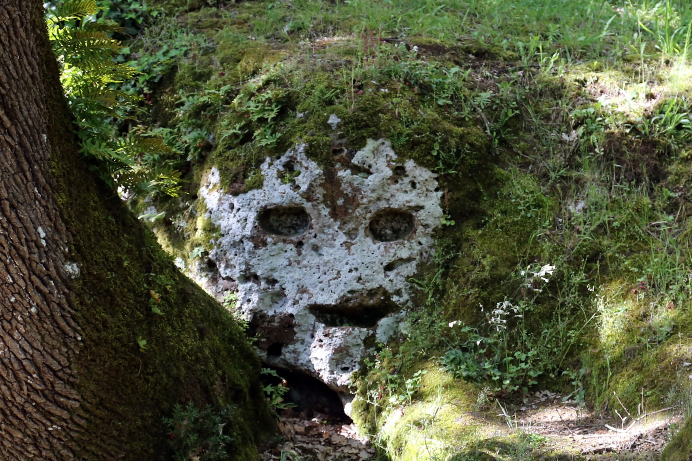 Sorano, Insediamento rupestre di San Rocco, volto sorridente