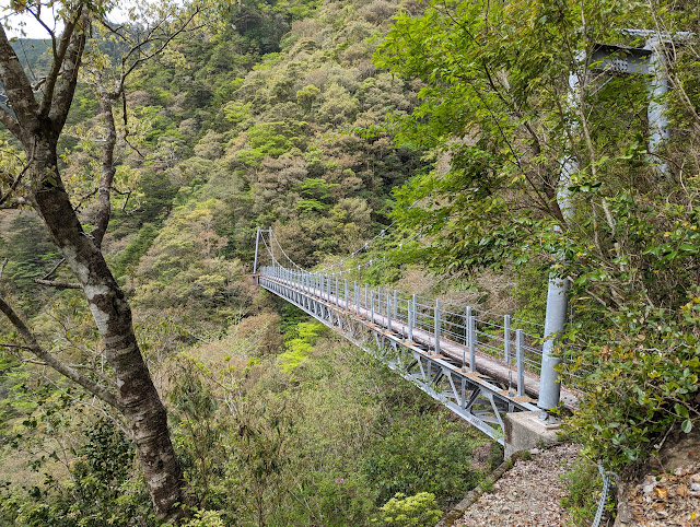 日浦杉吊橋、どうやって資材を運んだんでしょうか・・・