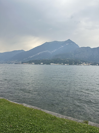 Google Photo