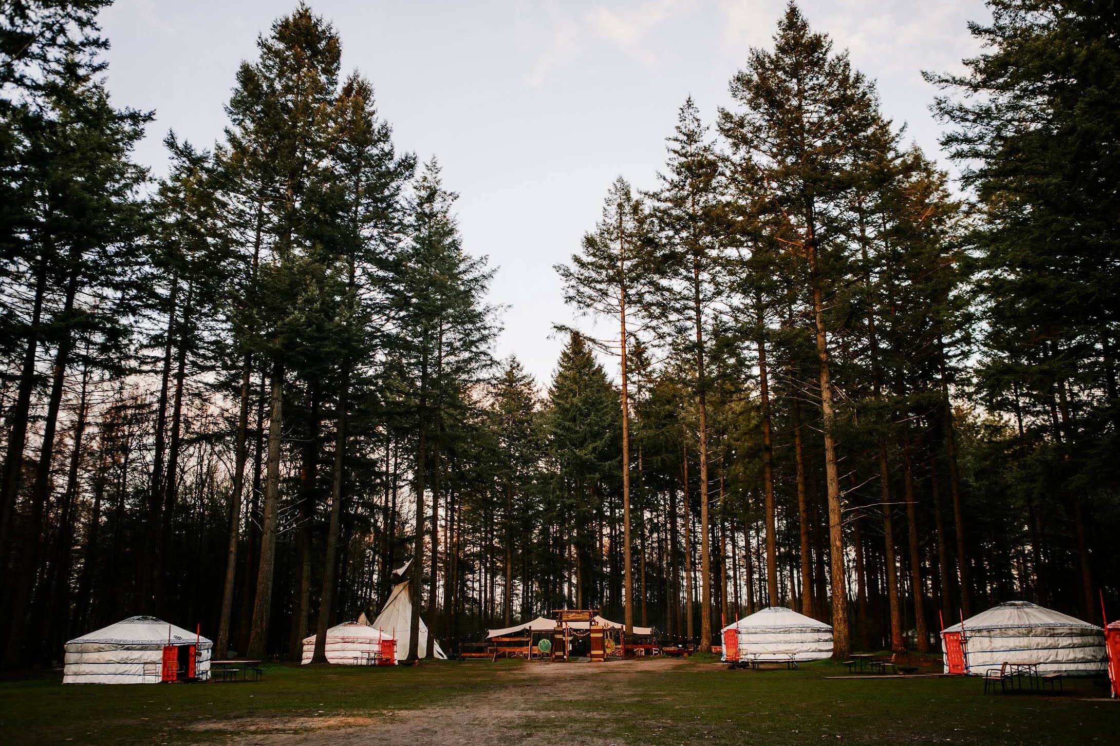 yurt in Drenthe