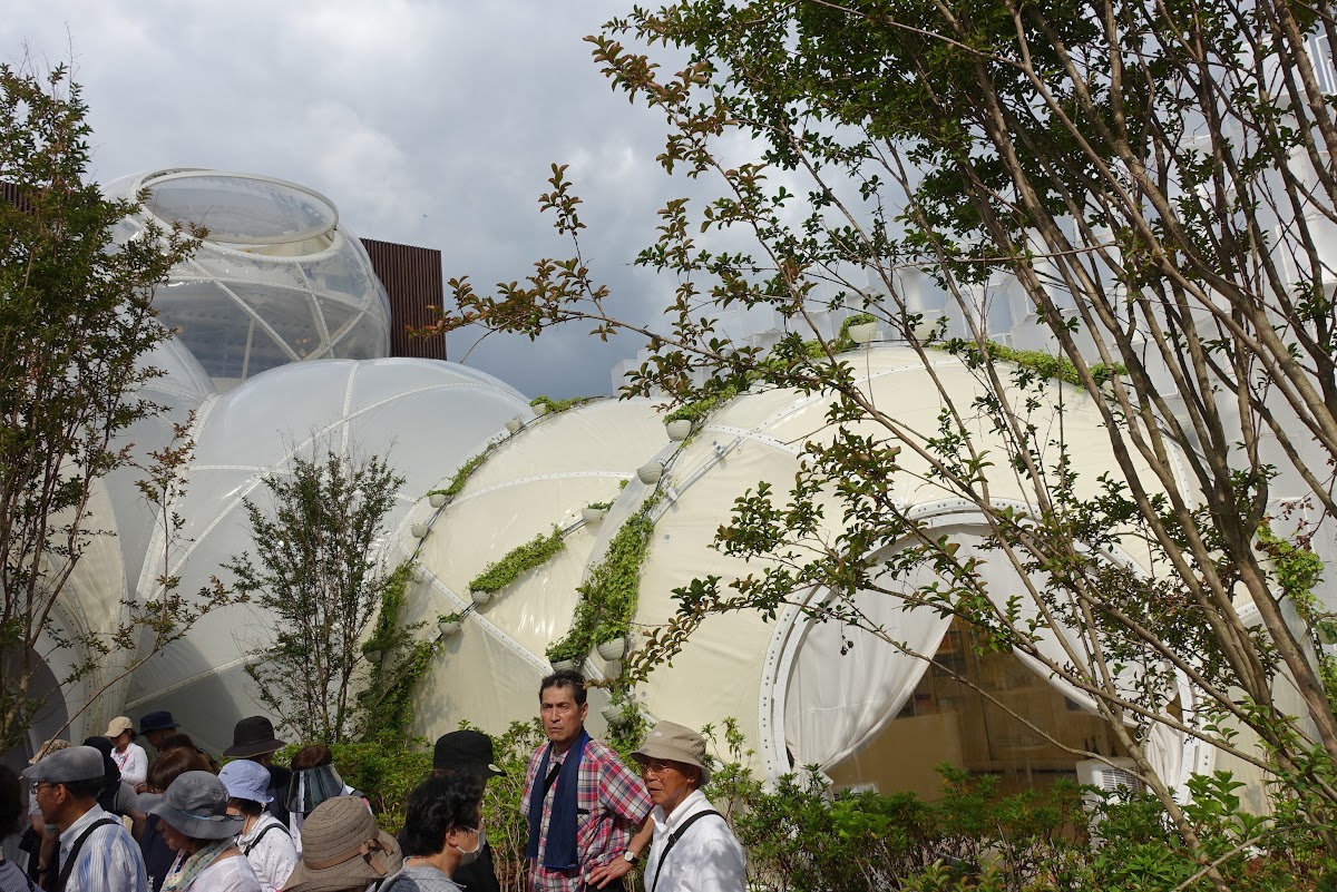 EXPO 2025 в Осаке