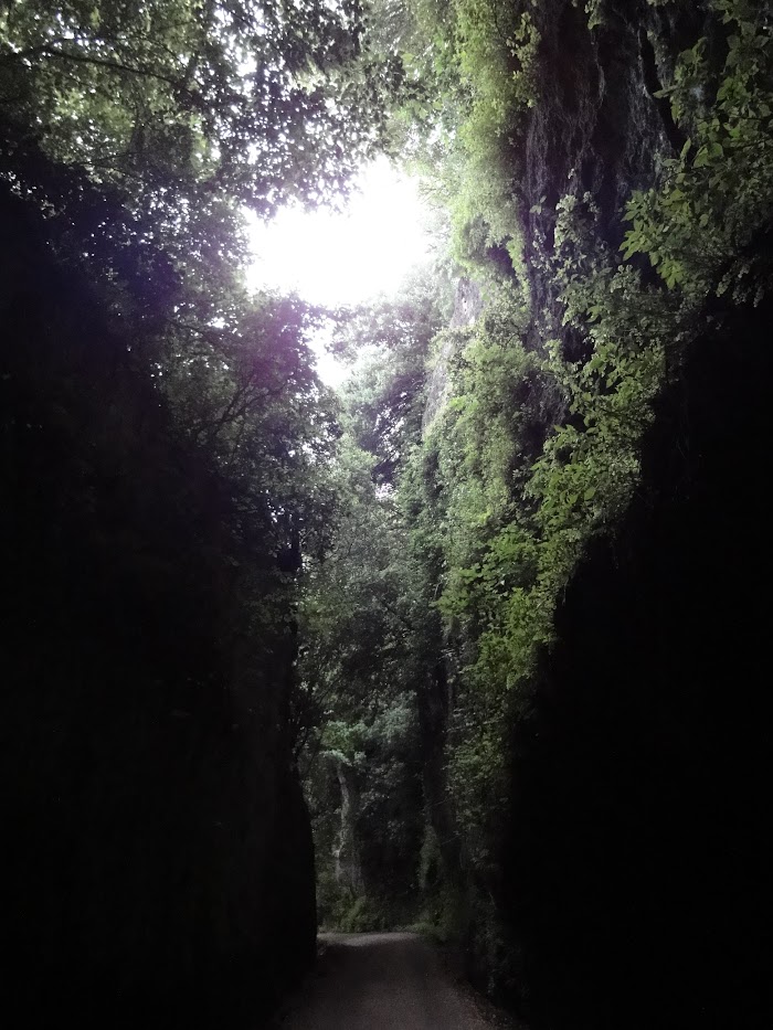 Via Cava del Cavone, Parco Archeologico Citt del Tufo, Sovana, tra le pi suggestive della zona sia per le sue dimensioni ciclopiche ma anche per le numerose variet di felci, muschi e licheni 