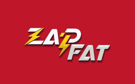 Zapfat LLC