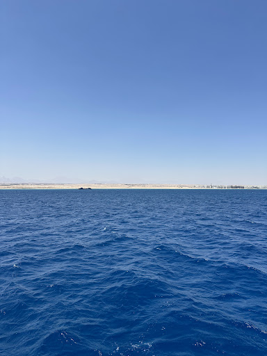 Google Photo