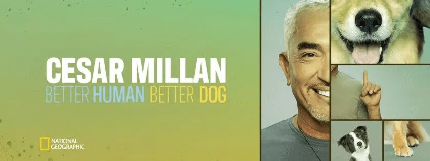 시저 밀란: 좋은 인간과 더 나은 개  (Cesar Millan: Better Human Better Dog)