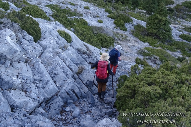 Puerto Corona-Oreganeros-Torrecilla-Atalayas