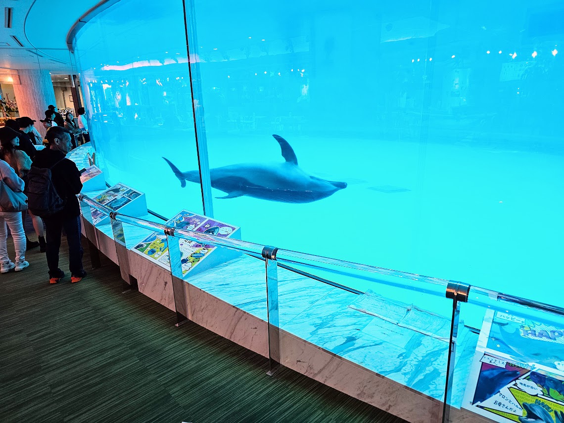 [旅遊]日本 福岡 觀賞獨特魅力的海洋生物 九州人氣景點 海