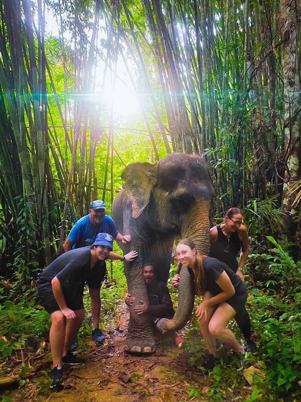 Phuket Elephant Care