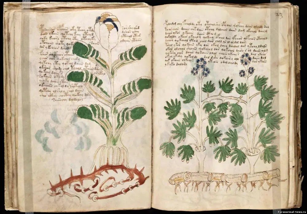 Manuscrito Voynich: O manuscrito mais enigmático do mundo