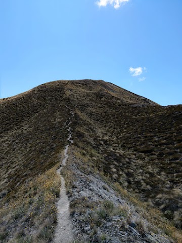 Mount Alpha to Roys Peak Skyline Track