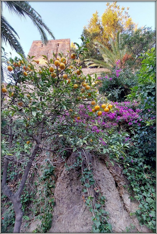 Предрождественская Малага и Pueblos Blancos (Нерха, Фрихильяна, Михас, Ронда).