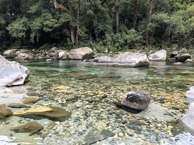 Milford Track Clinton River