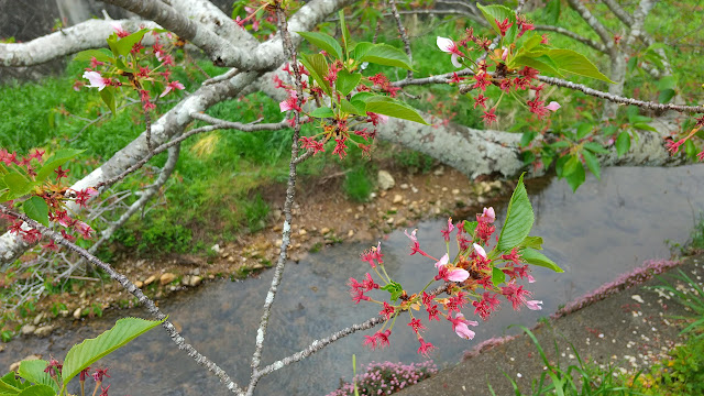 冷たい風が気持ちよい～