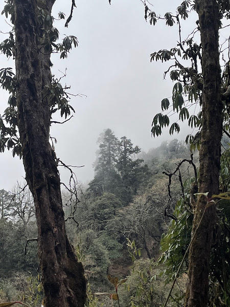 Прикоснуться к Гималаям: Ghandruk, Dobato, Poon Hill, Mohare Danda