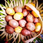 beets, Dye, easter egg, food dye, instruction, natural dye, recipe, tumeric, 天然, 彩蛋, 復活節, 染料