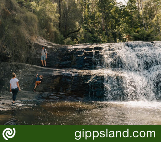 Hidden amidst lush native bush near Boolarra, Morwell River Falls offers a picturesque picnic spot. A brief 200m stroll leads to a tranquil pool beneath a majestic cascade