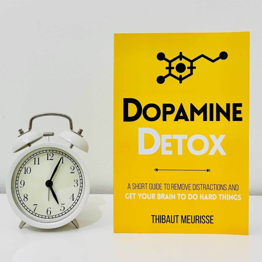 Summary to Dopamine Detox by Thibaut Meurisse