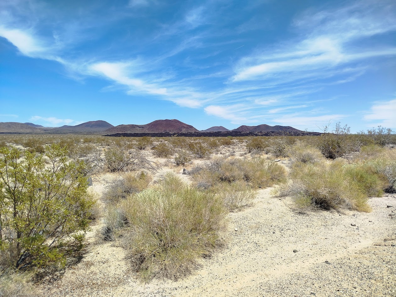 Mojave national Preserve