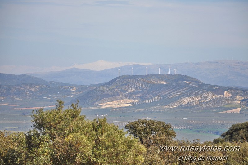 Sierra de Mollina